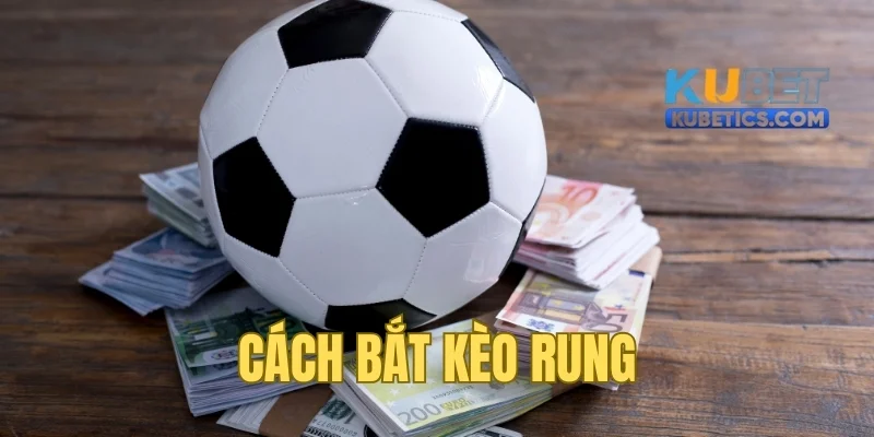 Cách Bắt Kèo Rung Hiệu Quả Và Những Sai Lầm Tránh